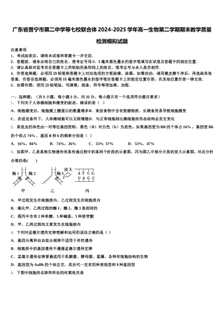 广东省普宁市第二中学等七校联合体2024-2025学年高一生物第二学期期末教学质量检测模拟试题含解析