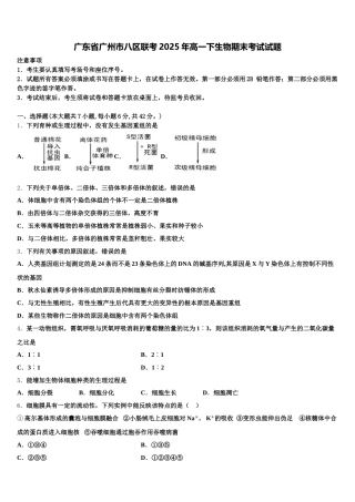 广东省广州市八区联考2025年高一下生物期末考试试题含解析