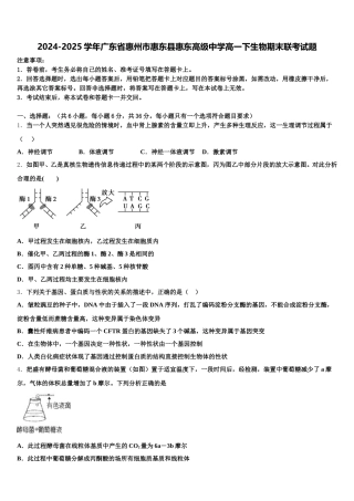 2024-2025学年广东省惠州市惠东县惠东高级中学高一下生物期末联考试题含解析