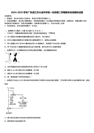 2024-2025学年广东湛江市大成中学高一生物第二学期期末检测模拟试题含解析