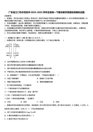 广东省江门市示范初中2024-2025学年生物高一下期末教学质量检测模拟试题含解析
