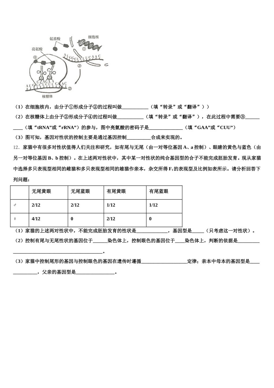 广东省茂名市五校联考2025届高一下生物期末联考试题含解析_第3页