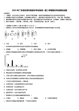 2025年广东省东莞市高级中学生物高一第二学期期末考试模拟试题含解析