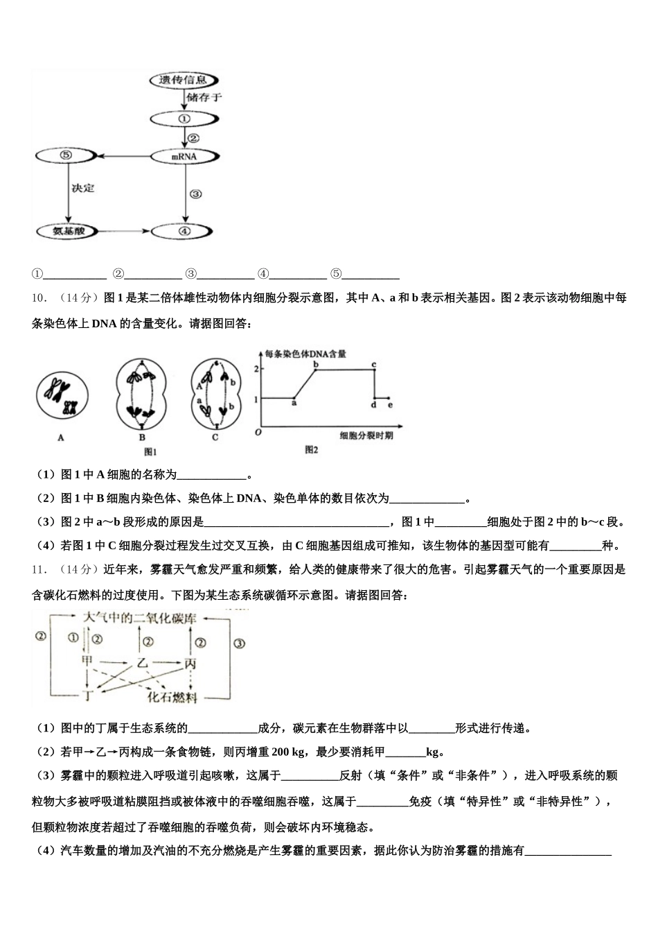 2024-2025学年广东省惠阳高级中学生物高一下期末联考试题含解析_第3页