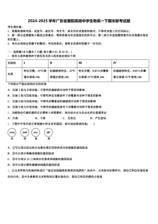 2024-2025学年广东省惠阳高级中学生物高一下期末联考试题含解析