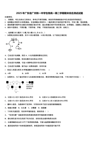 2025年广东省广州铁一中学生物高一第二学期期末综合测试试题含解析