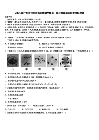 2025届广东省珠海市紫荆中学生物高一第二学期期末统考模拟试题含解析