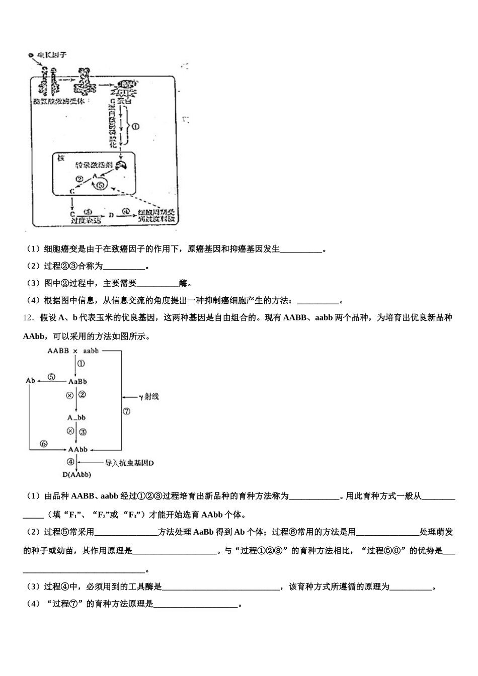 广东省蕉岭县蕉岭中学2025年高一下生物期末考试试题含解析_第3页