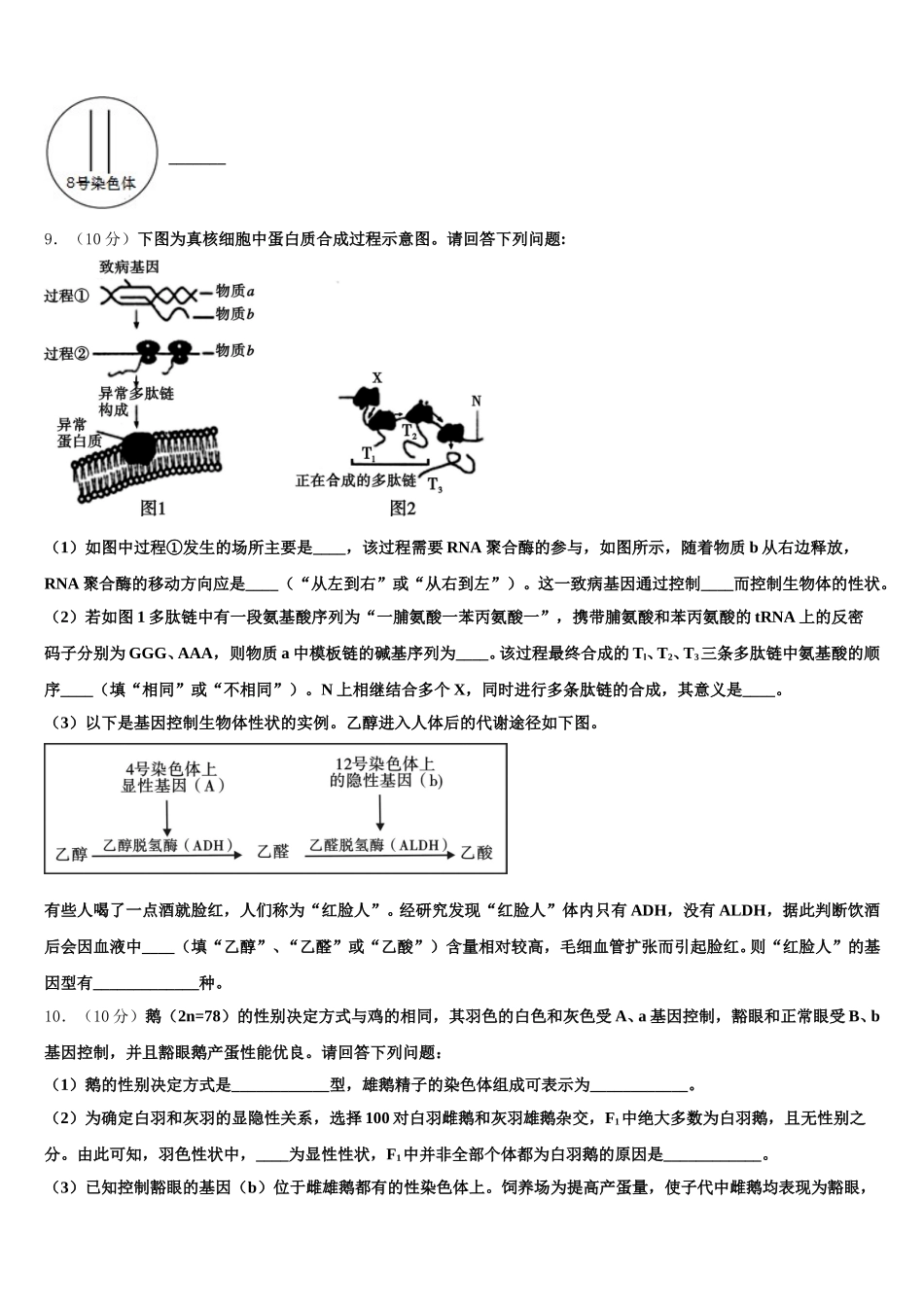 广东省广州市铁一中学、深圳外国语学校、广州大学附中2025届高一下生物期末综合测试试题含解析_第3页