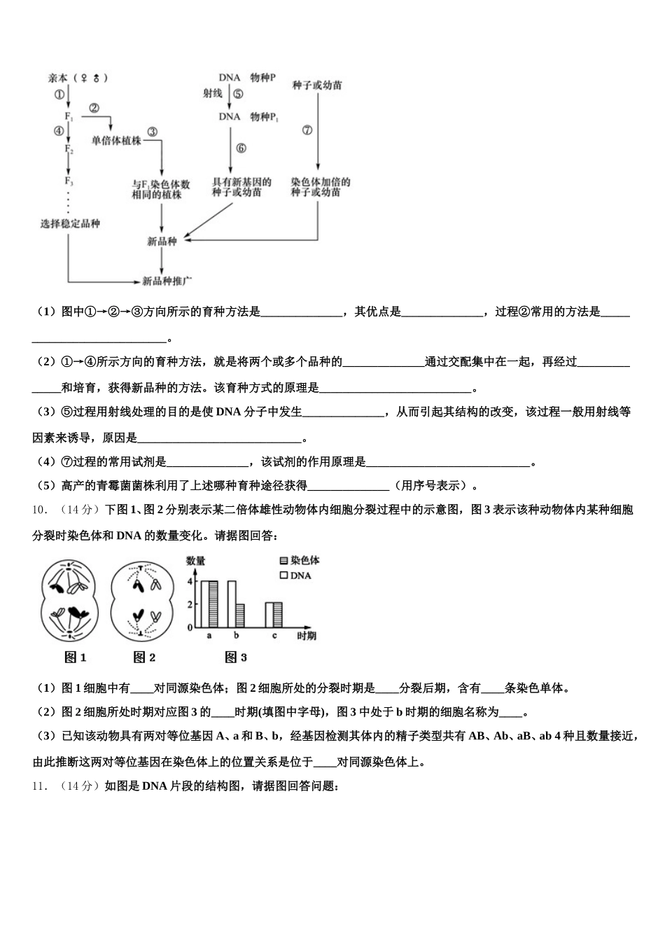 清远市重点中学2024-2025学年生物高一下期末教学质量检测模拟试题含解析_第3页