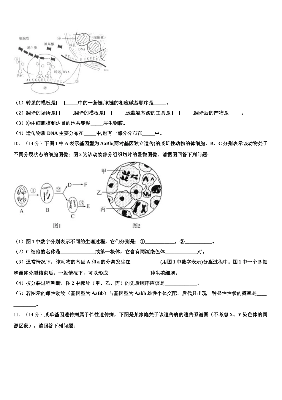 广东省汕头市龙湖区2025年高一下生物期末检测模拟试题含解析_第3页