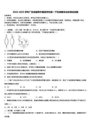 2024-2025学年广东省越秀外国语学校高一下生物期末达标测试试题含解析