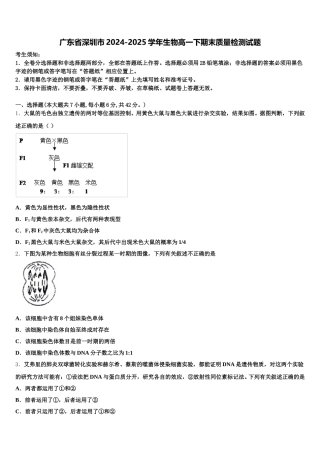 广东省深圳市2024-2025学年生物高一下期末质量检测试题含解析