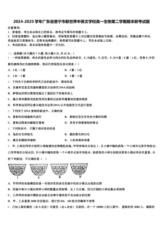 2024-2025学年广东省普宁市新世界中英文学校高一生物第二学期期末联考试题含解析