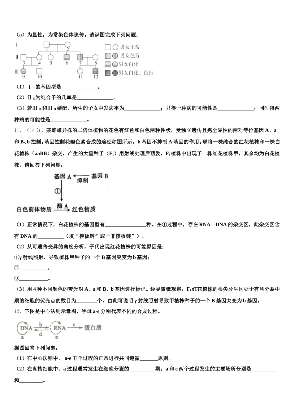 2025届广东省广州市第一中学生物高一第二学期期末综合测试模拟试题含解析_第3页