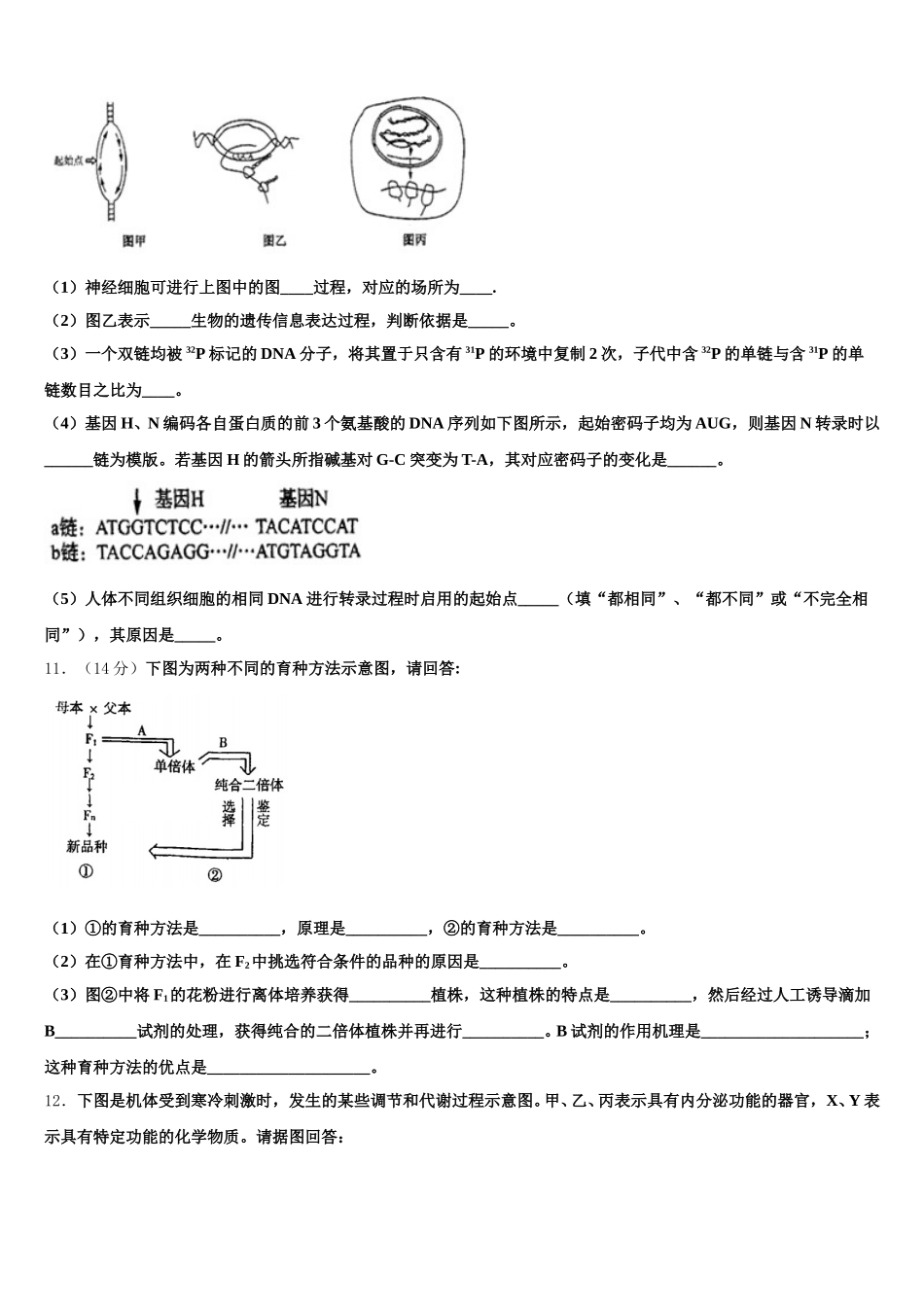 2025年广东省汕头市下蓬中学生物高一第二学期期末统考模拟试题含解析_第3页
