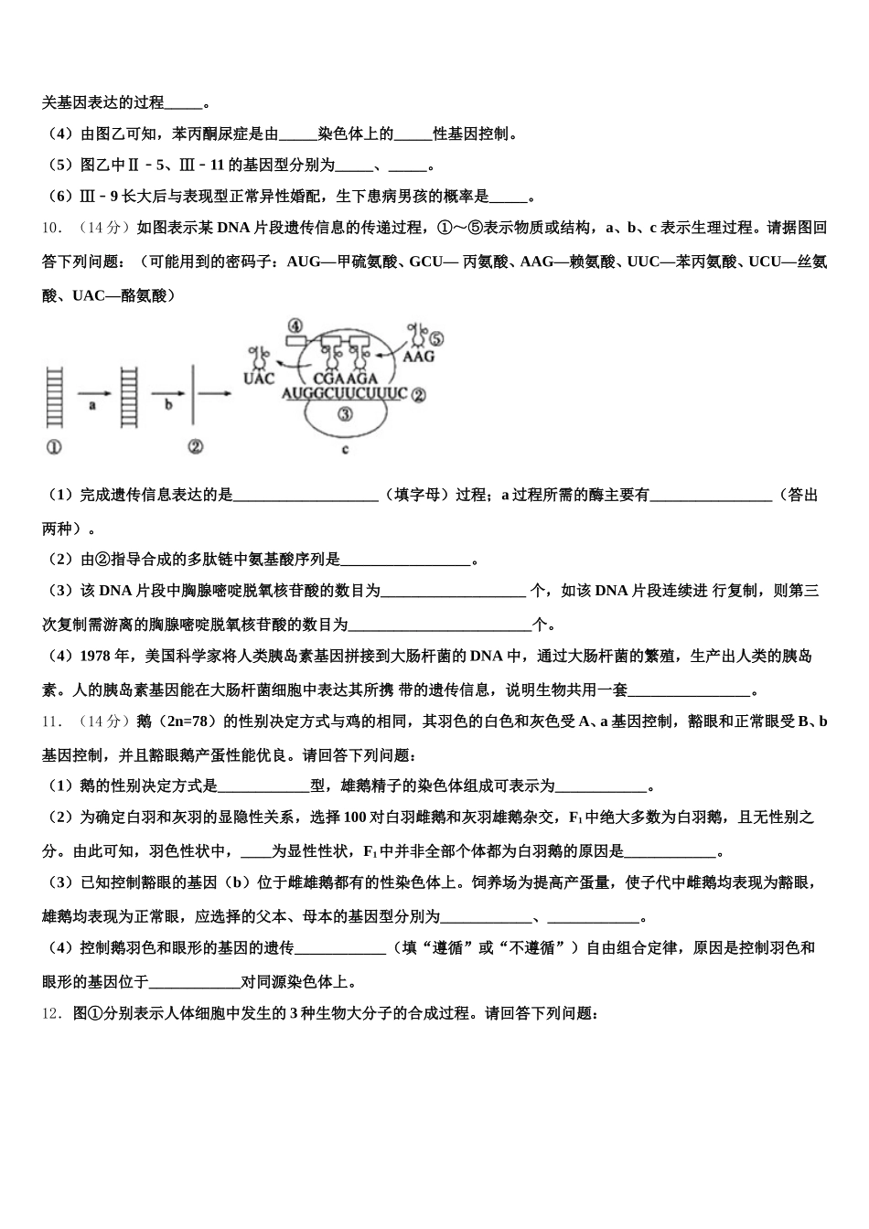 广东省汕头市潮阳第一中学等七校联合体2025届生物高一第二学期期末复习检测模拟试题含解析_第3页
