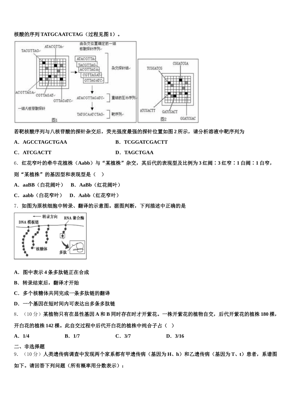 2025年广东省广东实验中学高一生物第二学期期末学业水平测试模拟试题含解析_第2页