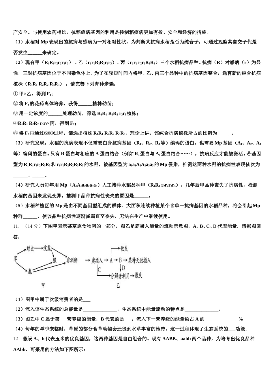 2025届广东省广州市执信中学学生物高一下期末综合测试模拟试题含解析_第3页
