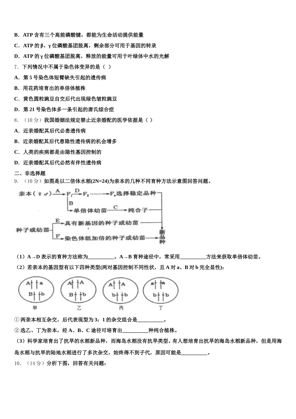 广东省汕头市名校2024-2025学年生物高一下期末综合测试模拟试题含解析_第2页