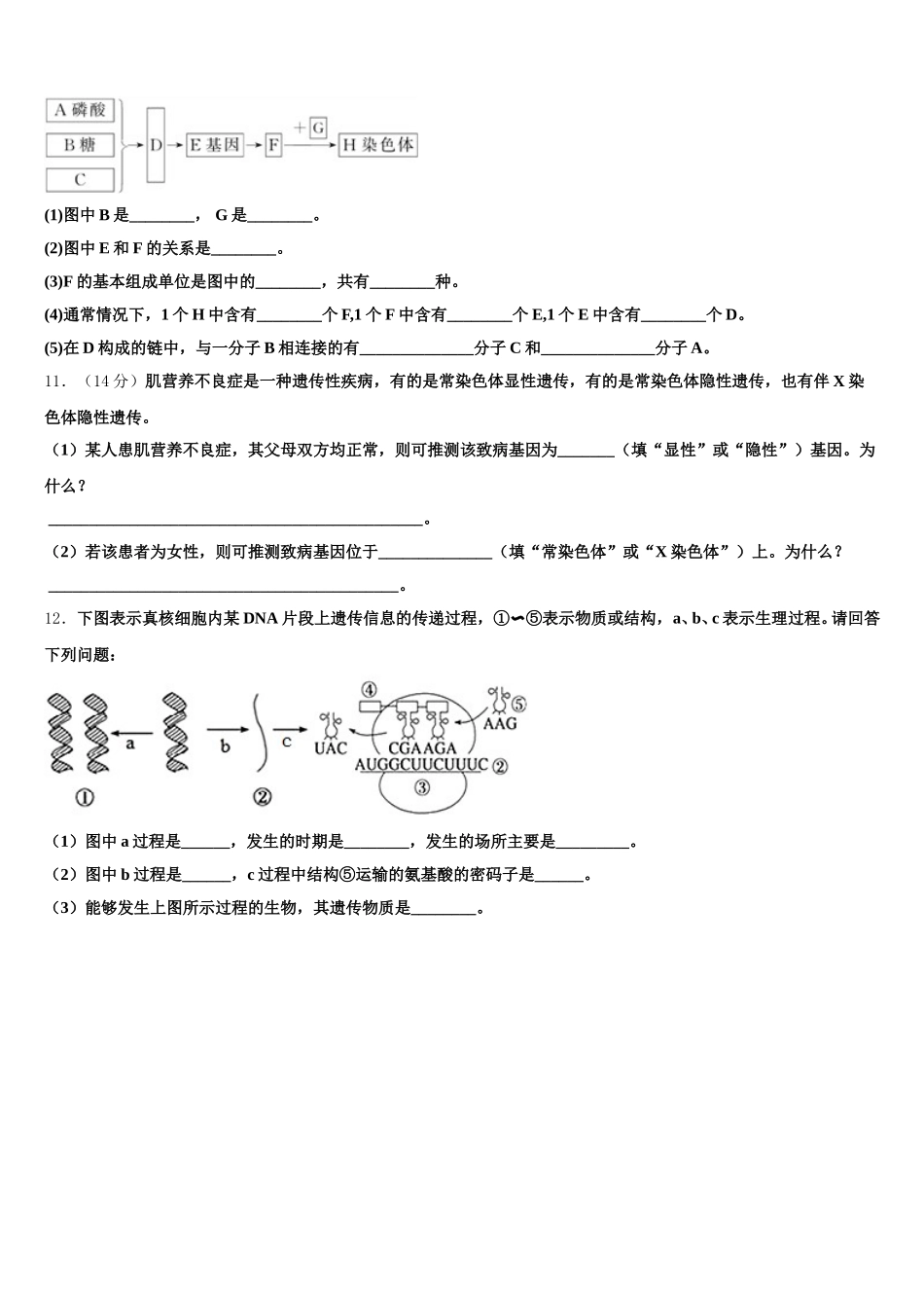 广东省汕头市名校2024-2025学年生物高一下期末综合测试模拟试题含解析_第3页