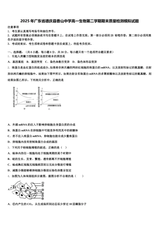 2025年广东省德庆县香山中学高一生物第二学期期末质量检测模拟试题含解析