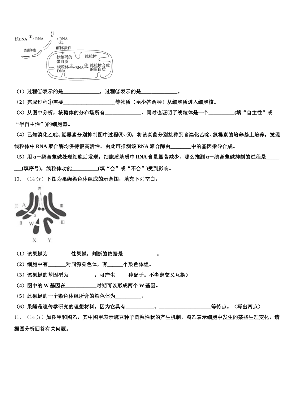 2025年广东省三校高一生物第二学期期末质量跟踪监视模拟试题含解析_第3页