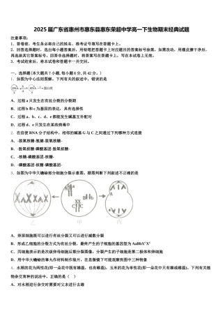 2025届广东省惠州市惠东县惠东荣超中学高一下生物期末经典试题含解析