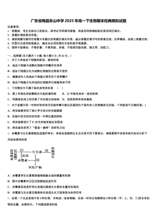 广东省梅县东山中学2025年高一下生物期末经典模拟试题含解析
