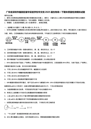 广东省深圳市福田区耀华实验学校华文班2025届生物高一下期末质量检测模拟试题含解析