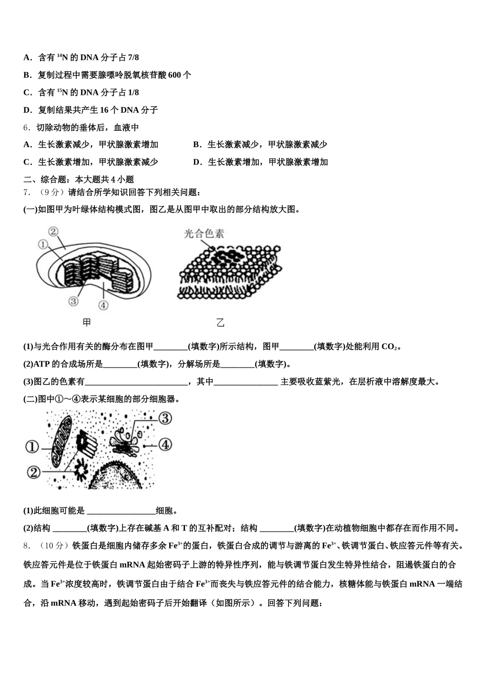 2024-2025学年广东省韶关市新丰县第一中学高一生物第二学期期末联考试题含解析_第2页
