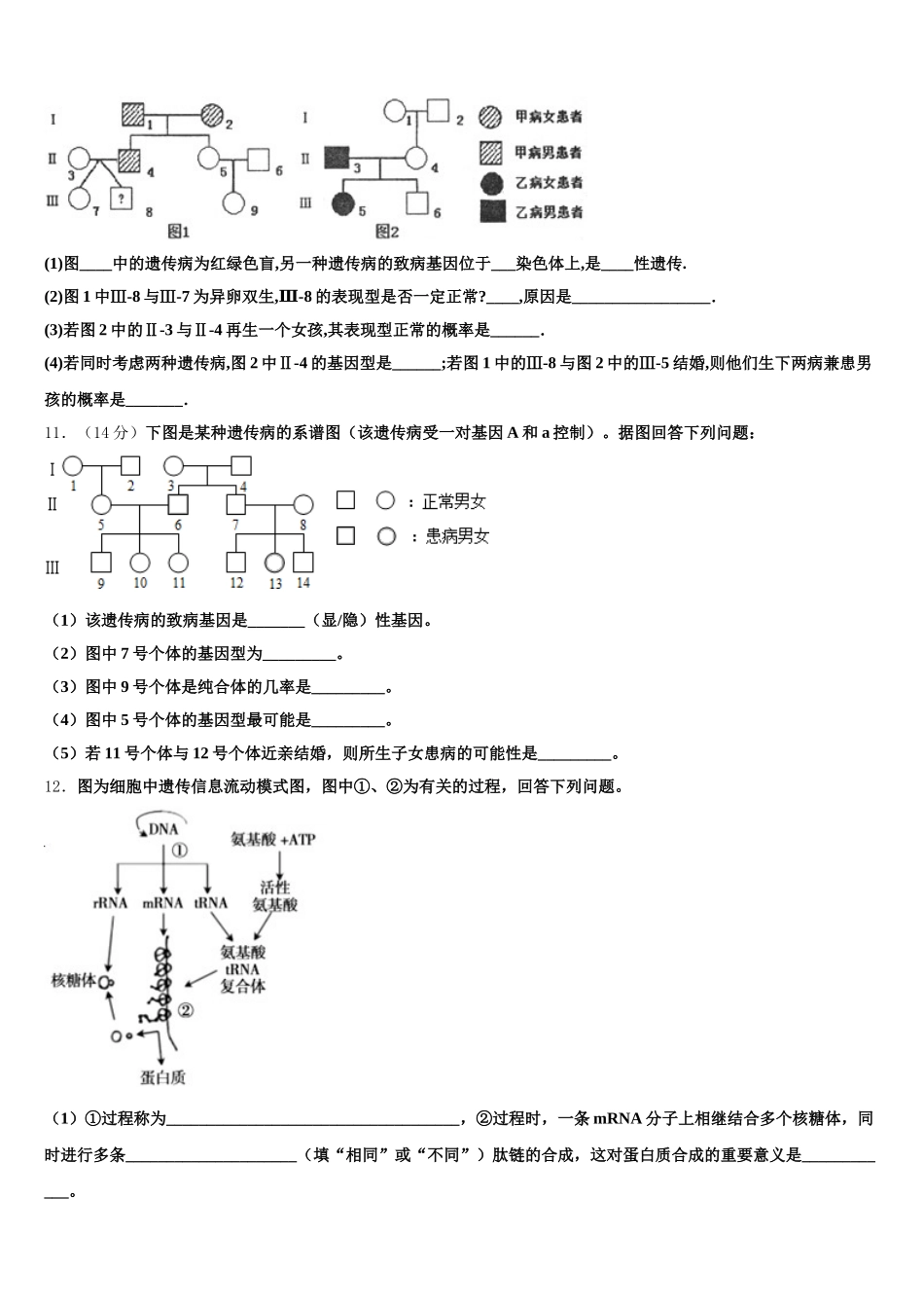 2024-2025学年广东省广州市第七中学高一生物第二学期期末调研模拟试题含解析_第3页