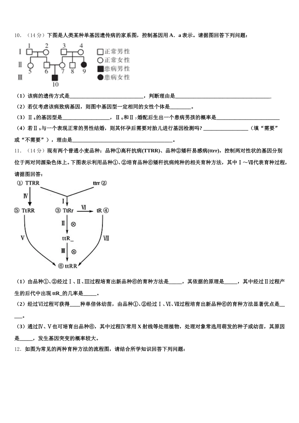 广东广州越秀区培正中学2025年生物高一下期末达标检测模拟试题含解析_第3页