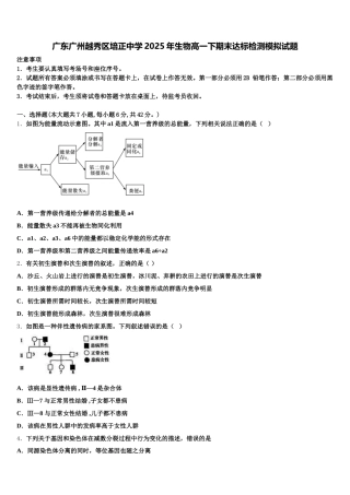 广东广州越秀区培正中学2025年生物高一下期末达标检测模拟试题含解析