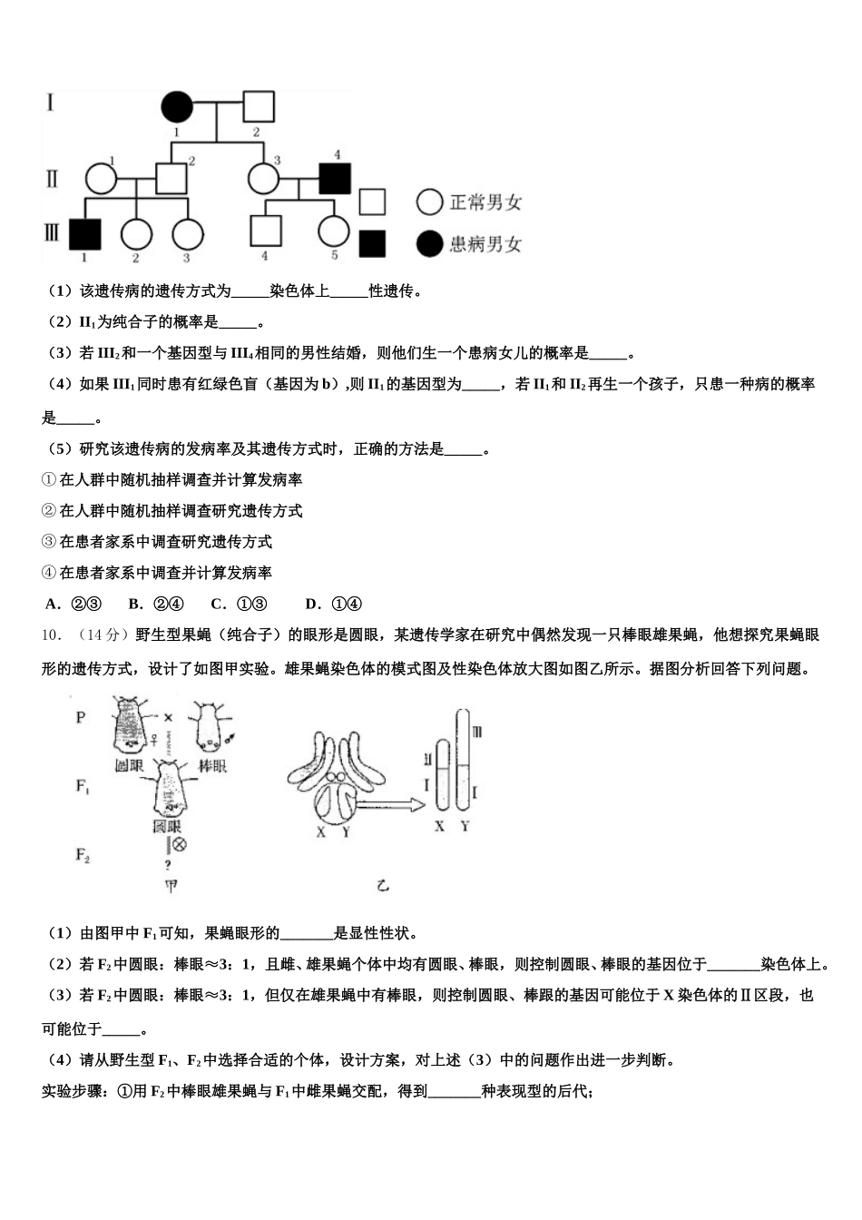 2025届广东省佛山市荣山中学生物高一下期末达标测试试题含解析_第3页