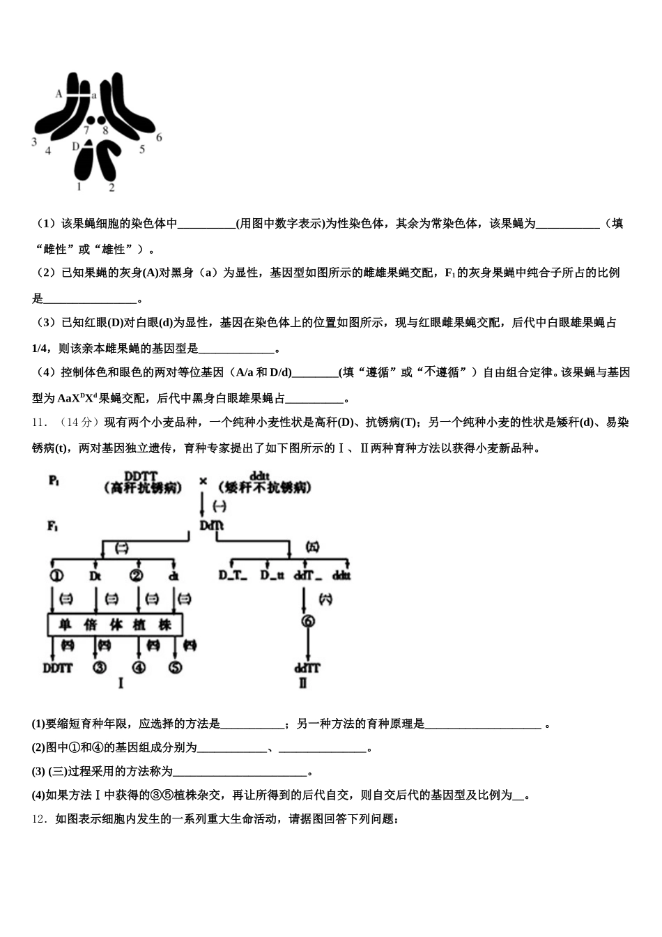 2024-2025学年广东省兴宁市沐彬中学生物高一下期末考试模拟试题含解析_第3页