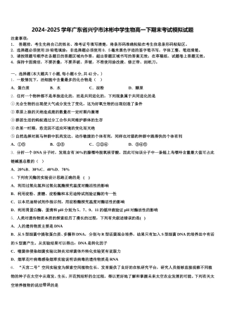 2024-2025学年广东省兴宁市沐彬中学生物高一下期末考试模拟试题含解析