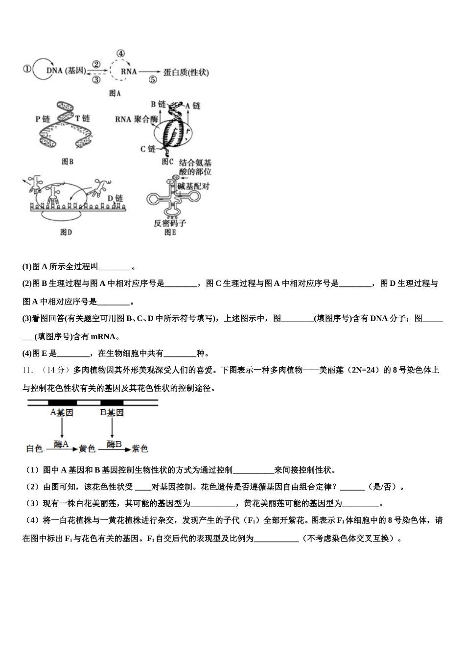 2025届广东省佛山市南海区狮山石门高级中学生物高一第二学期期末统考模拟试题含解析_第3页