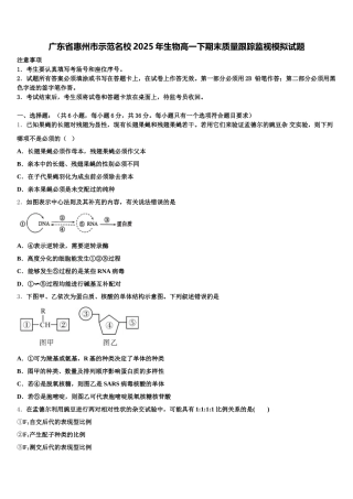 广东省惠州市示范名校2025年生物高一下期末质量跟踪监视模拟试题含解析