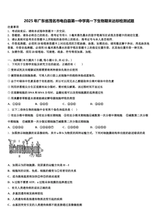 2025年广东省茂名市电白县第一中学高一下生物期末达标检测试题含解析