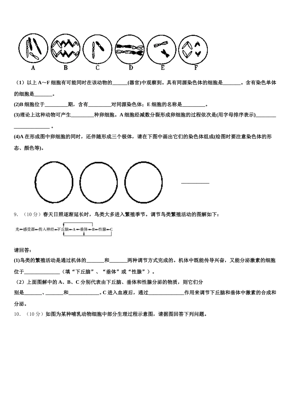 广东省深圳市罗湖外国语学校2024-2025学年高一生物第二学期期末调研模拟试题含解析_第3页
