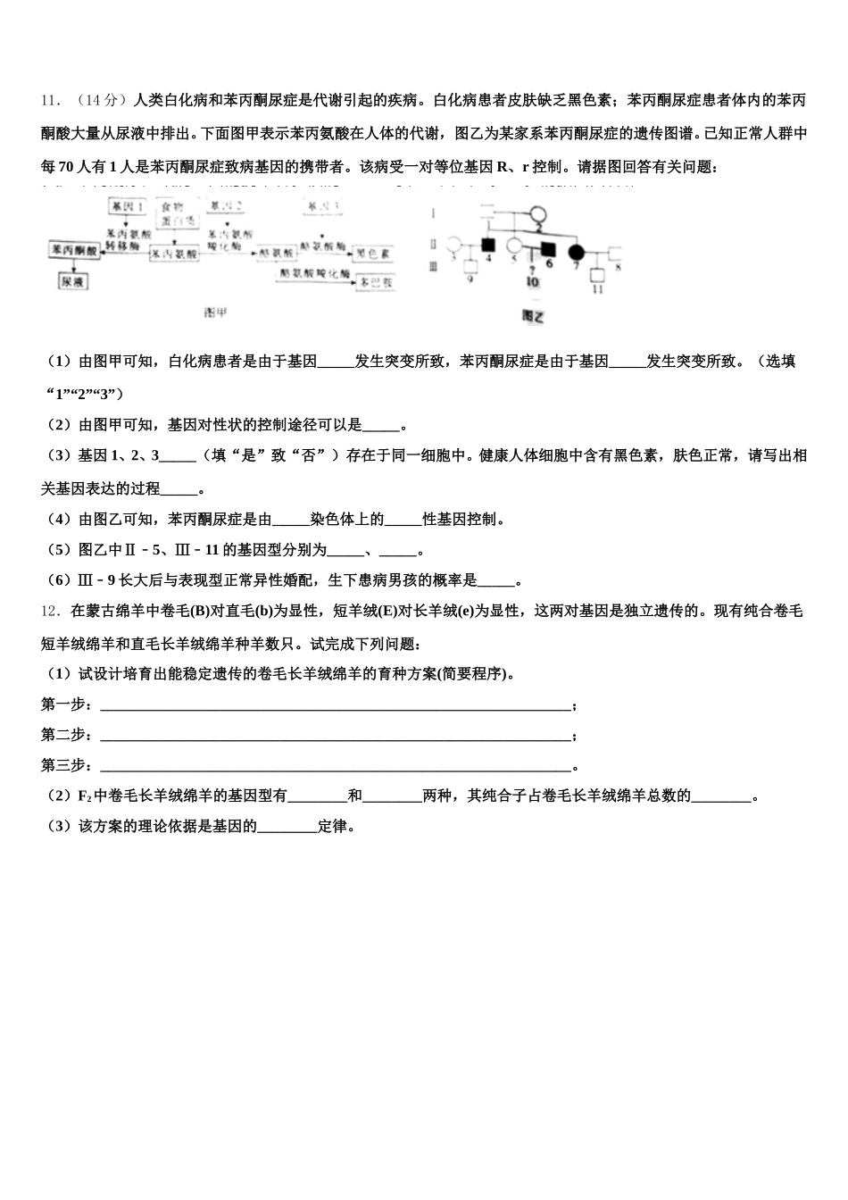 广东省广州市华南师大附中2024-2025学年高一下生物期末质量检测试题含解析_第3页