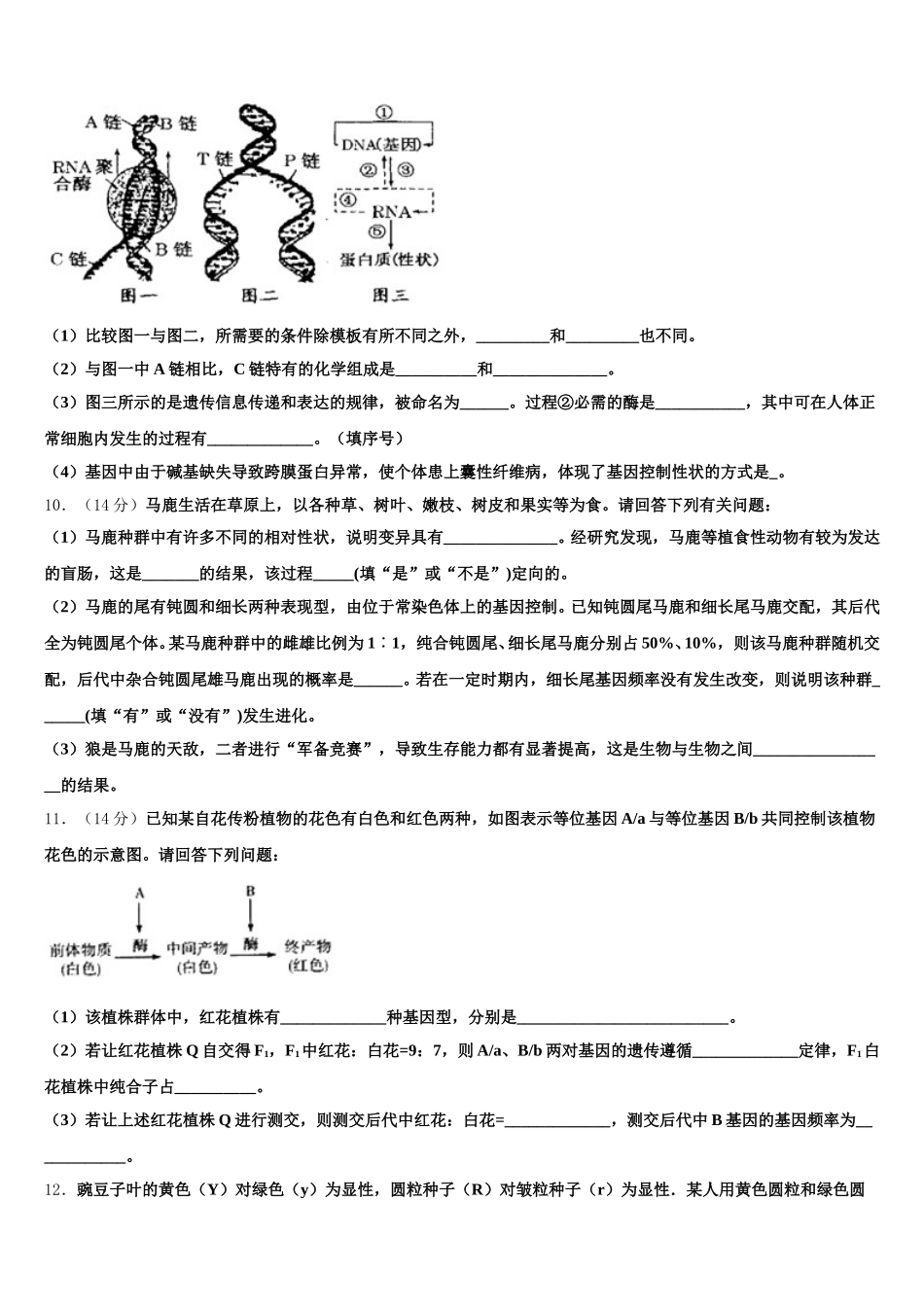 2025届广东省六校联盟生物高一第二学期期末联考试题含解析_第3页
