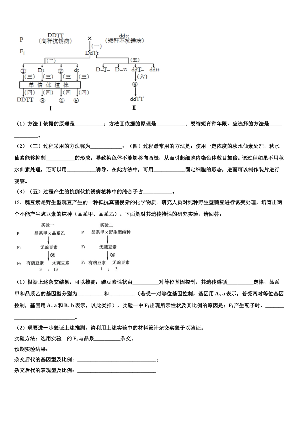广东省中山一中丰山学部2025届高一下生物期末质量跟踪监视模拟试题含解析_第3页
