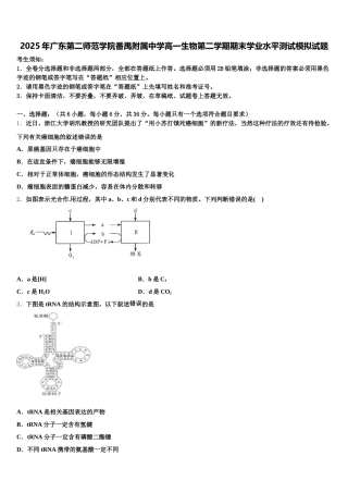 2025年广东第二师范学院番禺附属中学高一生物第二学期期末学业水平测试模拟试题含解析