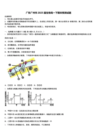广东广州市2025届生物高一下期末预测试题含解析