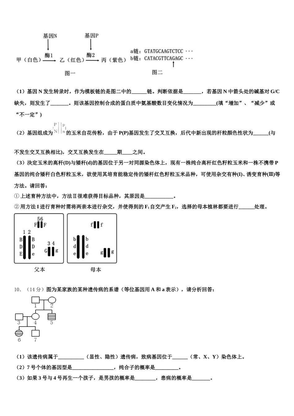 广东省揭阳、金中2025年高一生物第二学期期末学业质量监测模拟试题含解析_第3页