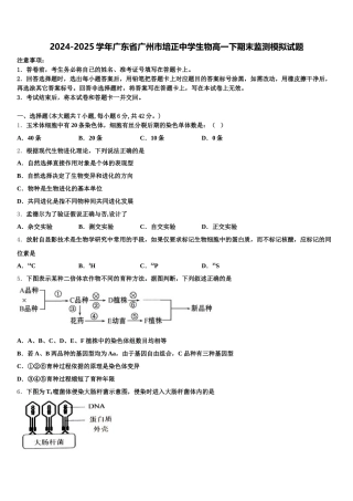 2024-2025学年广东省广州市培正中学生物高一下期末监测模拟试题含解析