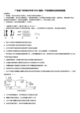 广东省广州市育才中学2025届高一下生物期末达标检测试题含解析