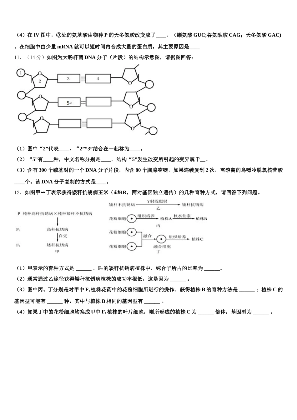 广东省汕头市潮阳南侨中学2025年高一生物第二学期期末统考模拟试题含解析_第3页